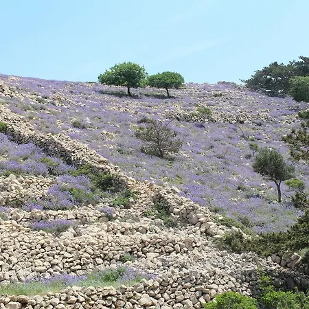 Apartament Capic Baška