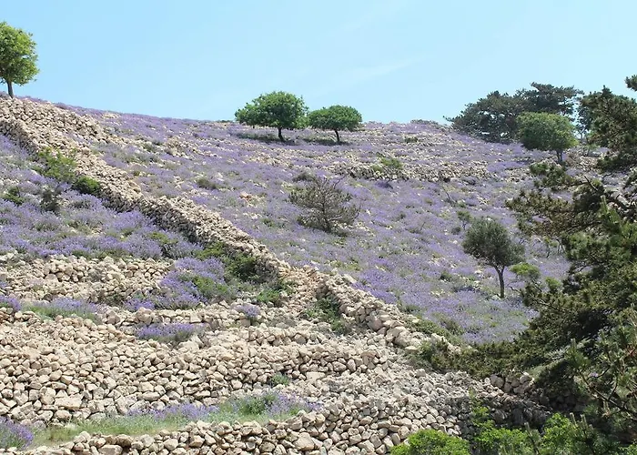 Apartament Capic Baška