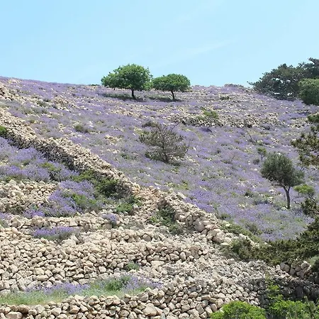 Διαμέρισμα Capic Baška
